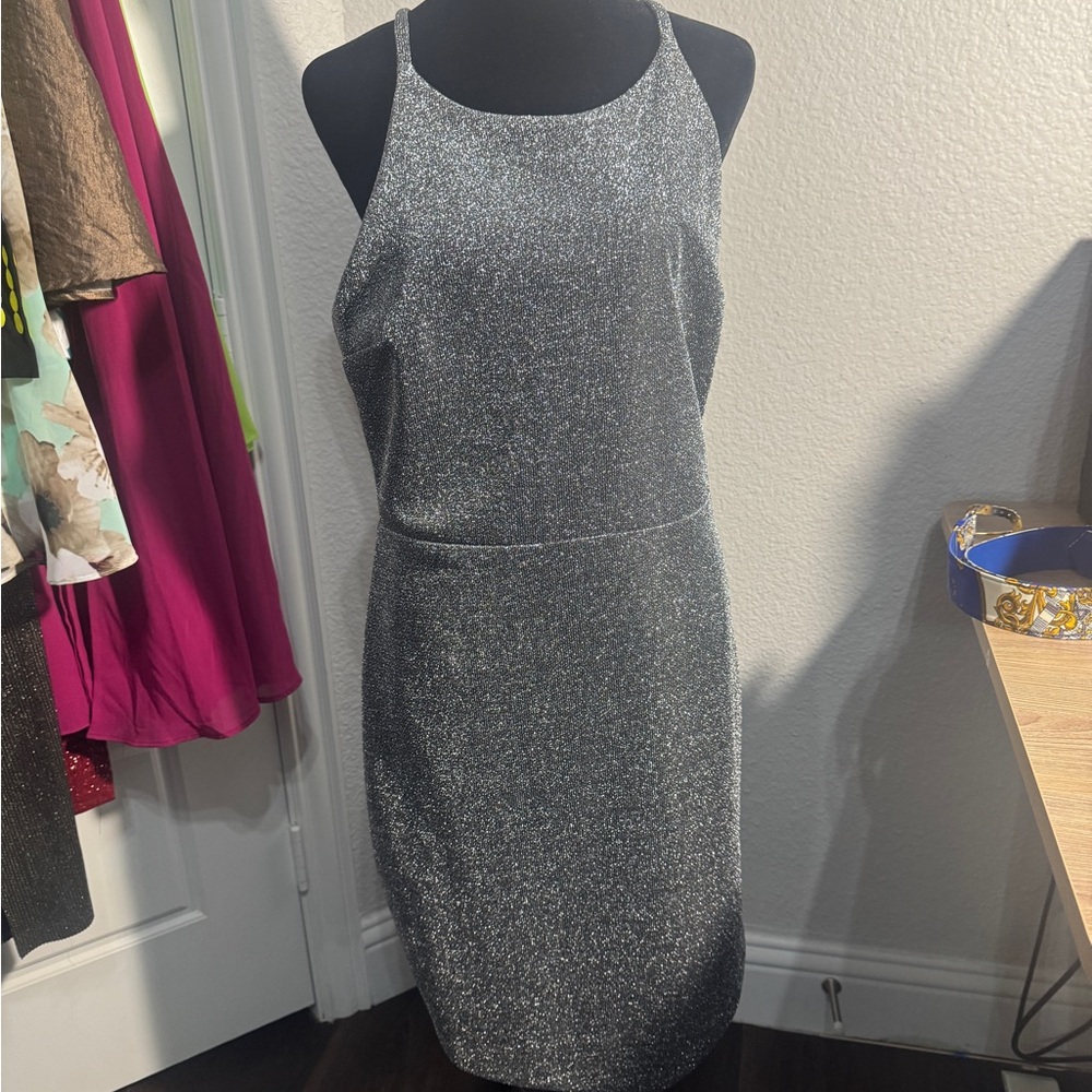 Express Silver Sparkle Mini Dress